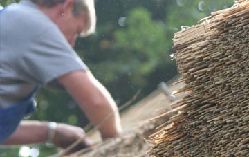 professional Hampton Park thatchers